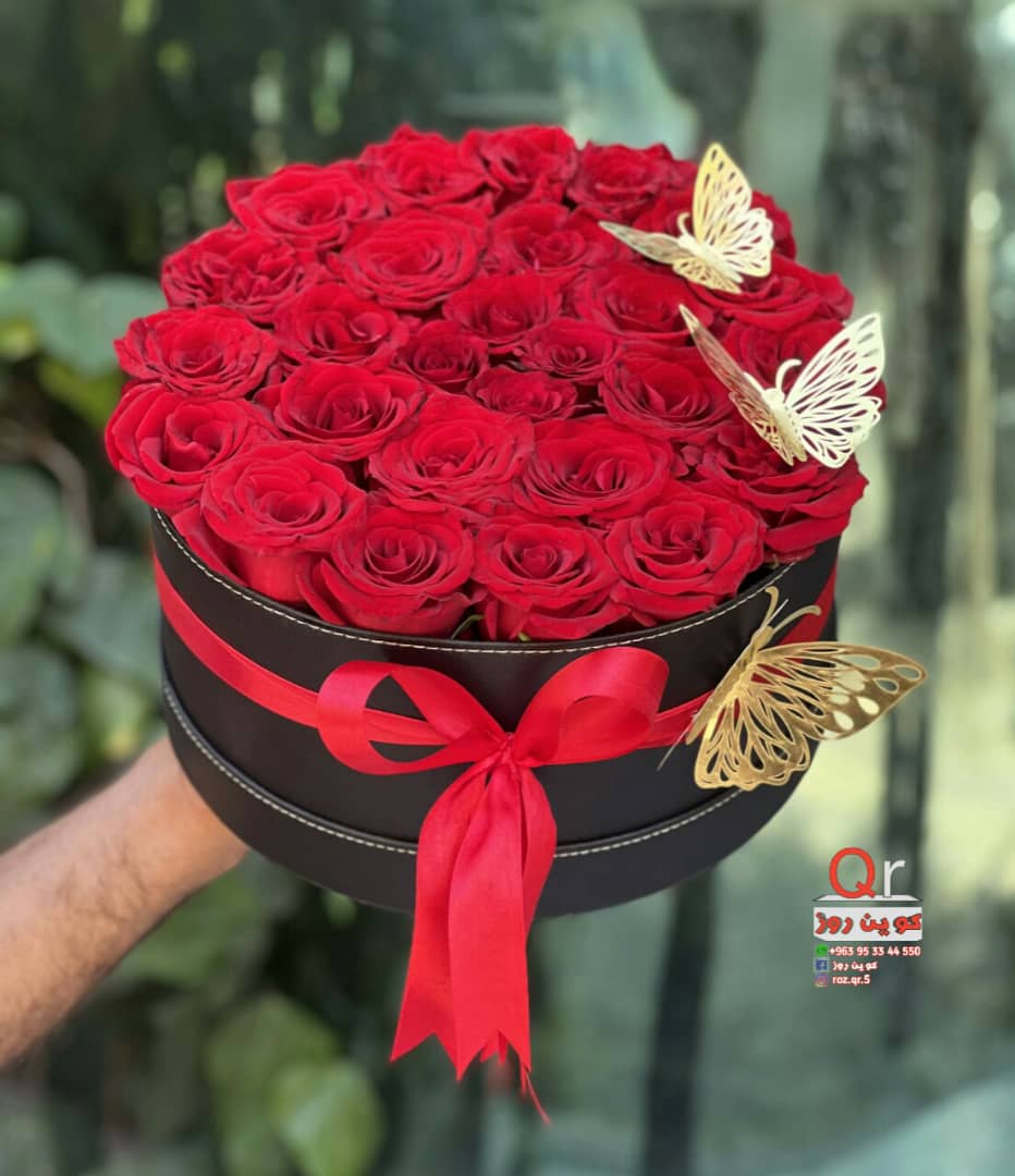 بوكس-جوري-أحمر