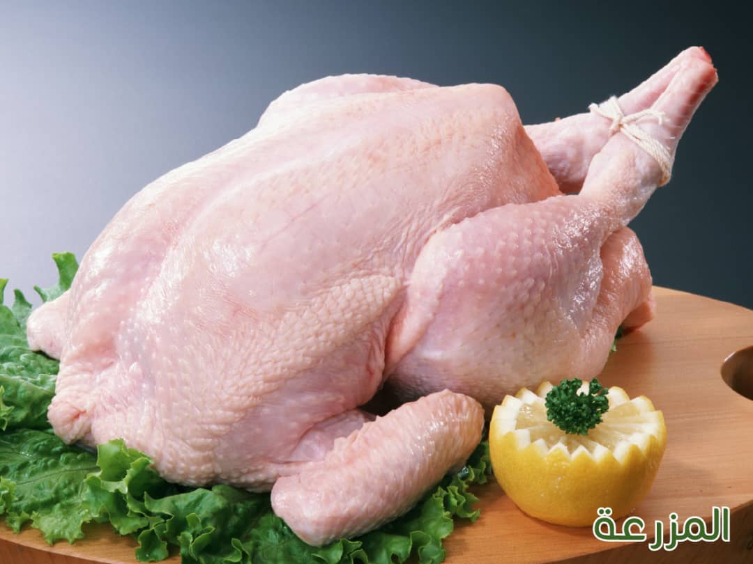 فروج-كامل