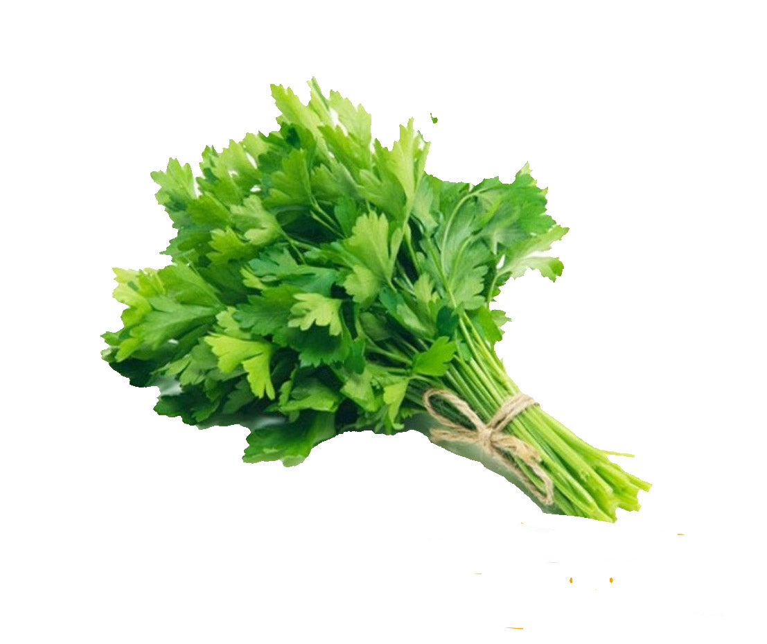 بقدونس