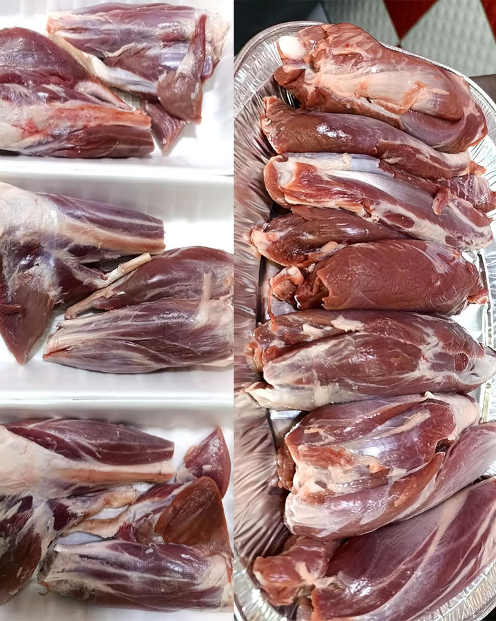 ملحمة ابو الجود