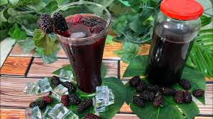 توت شامي كبير