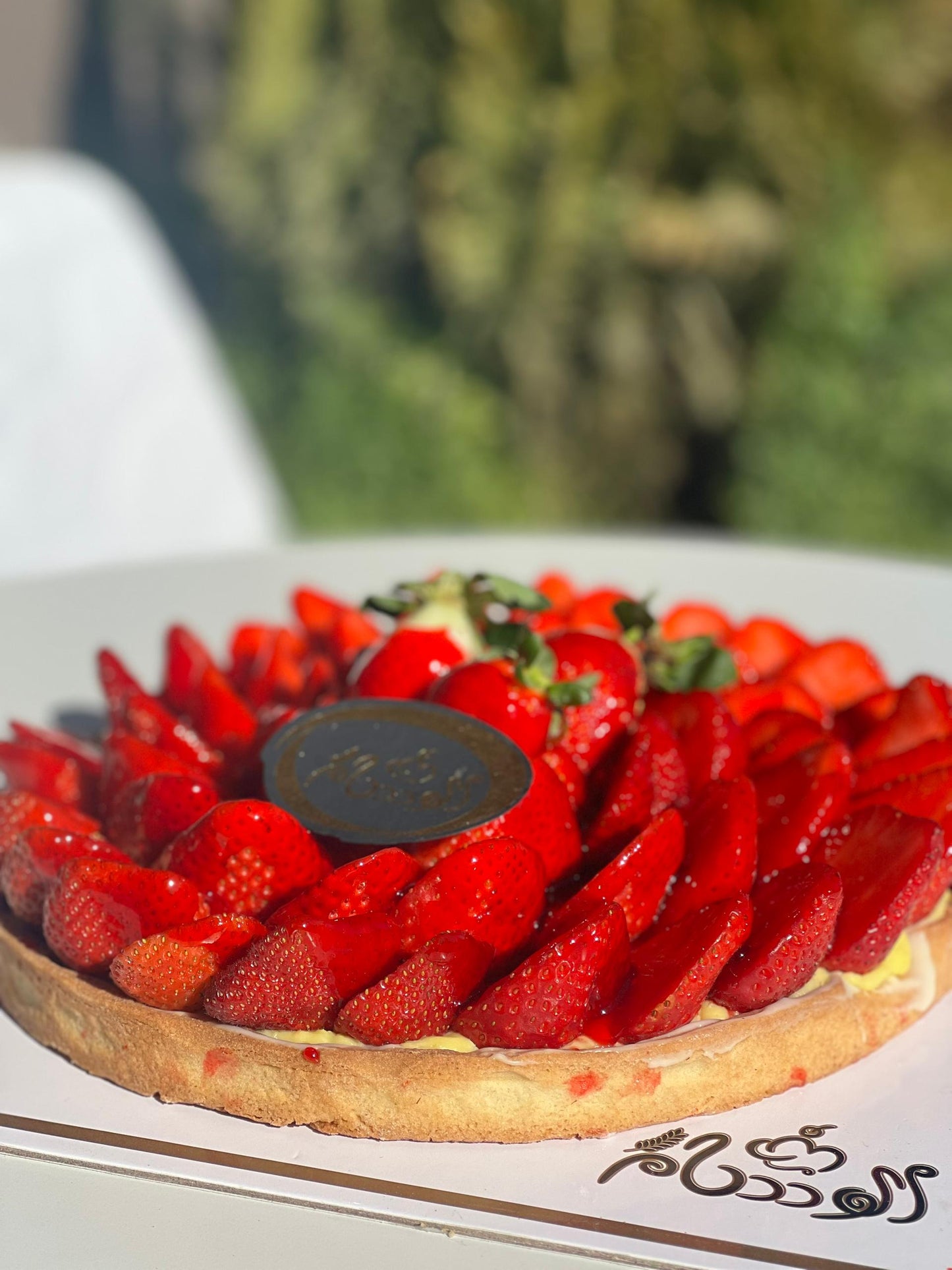 قالب تارت فريز