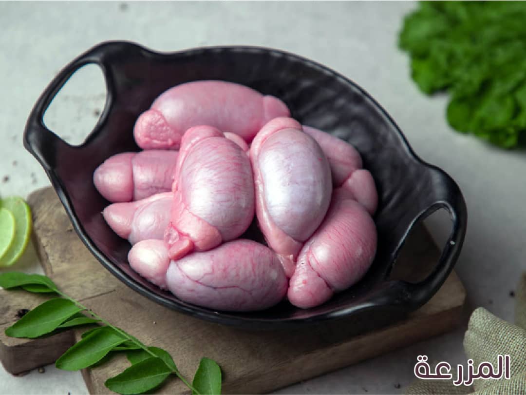 بيض غنم  ( 1/2 كغ )