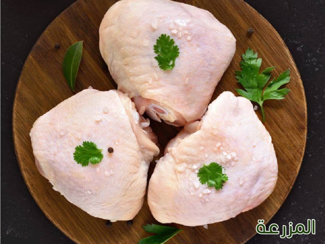 كستا ( 1/2 كغ )