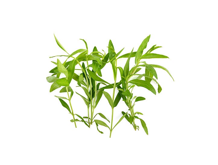 طرخوم