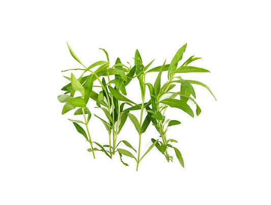 طرخوم