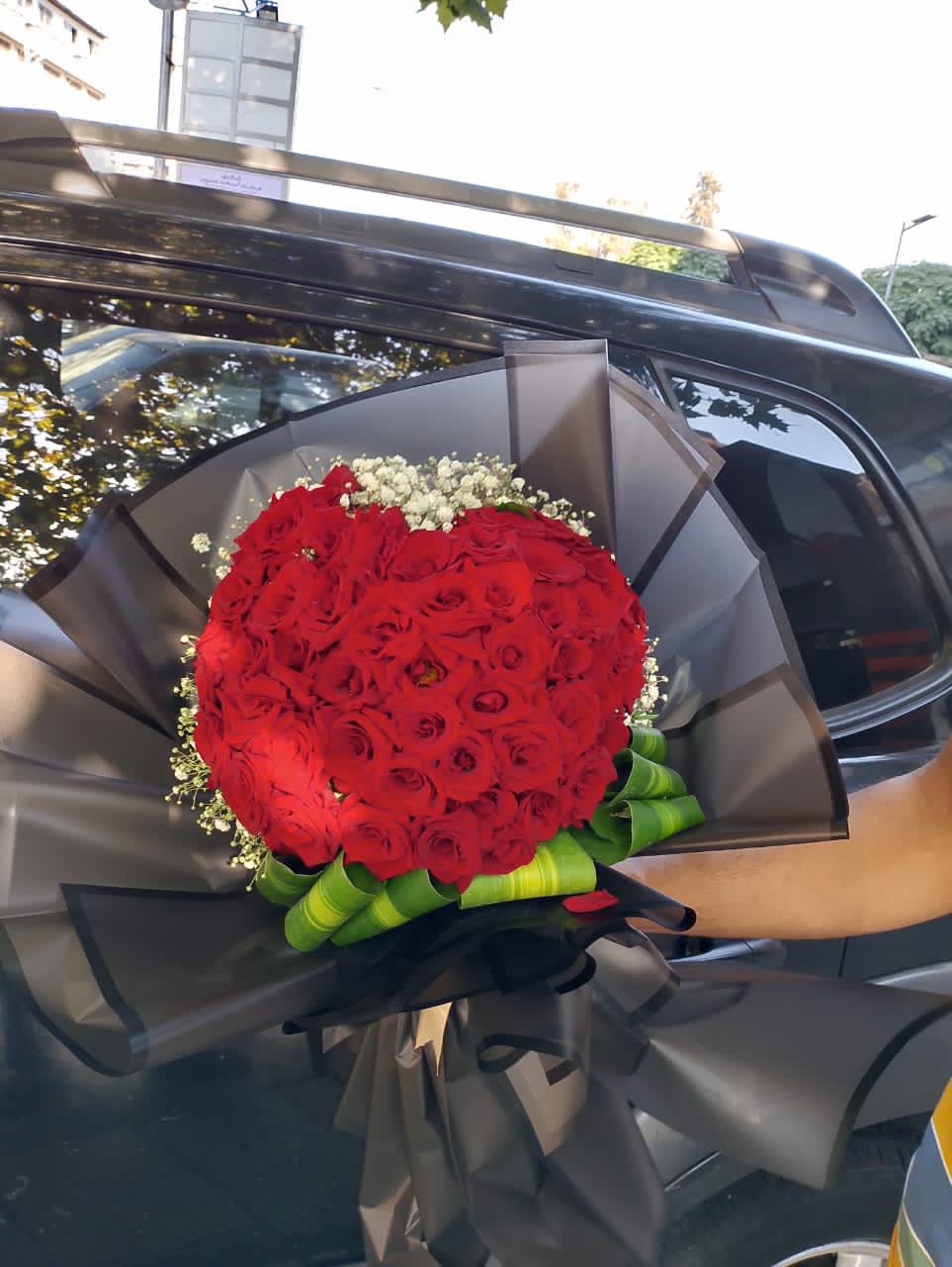 جوري-أحمر