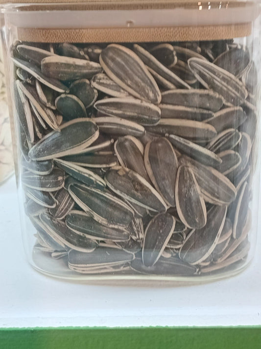 بزر دوار الشمس أو القمر