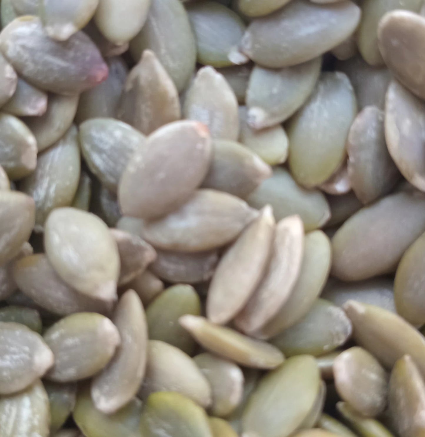 بزر أبيض مفصص ني٢٠٠غ