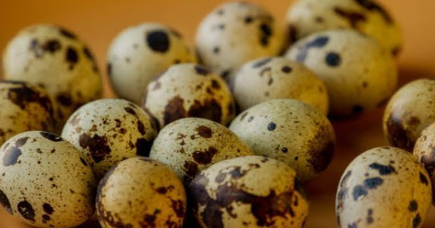 بيض فري 15 بيضة  وزن 250 غ