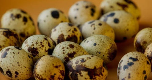 بيض فري 15 بيضة  وزن 250 غ